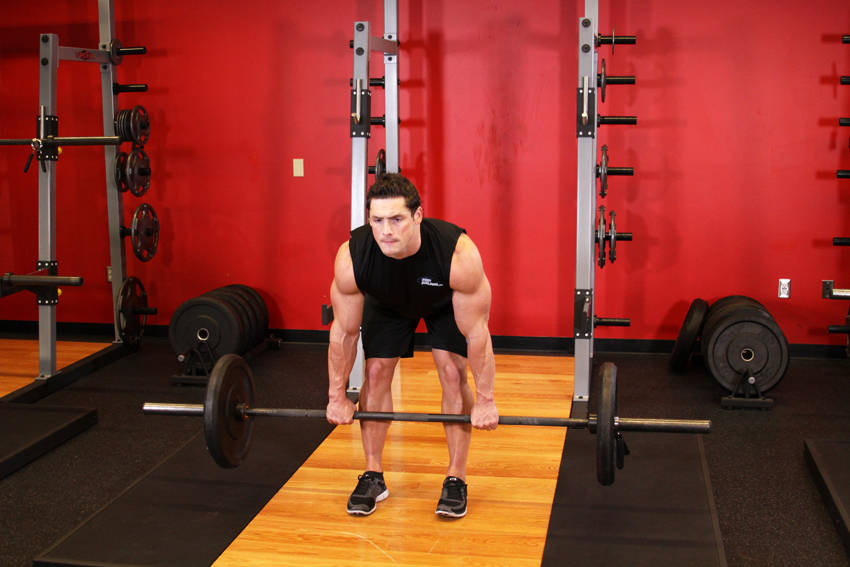 Dumbbell Romanian Extension