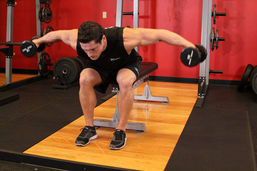 Seated Bent-Over Rear Delt Raise