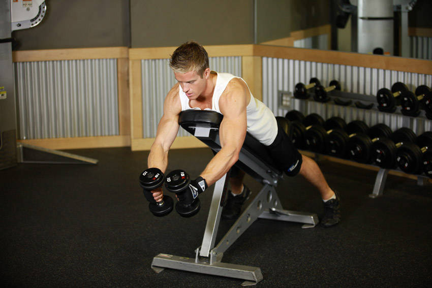 Dumbbell Reverse Fly