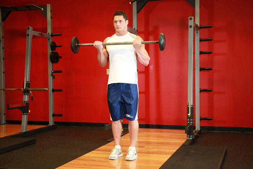 Barbell Curl